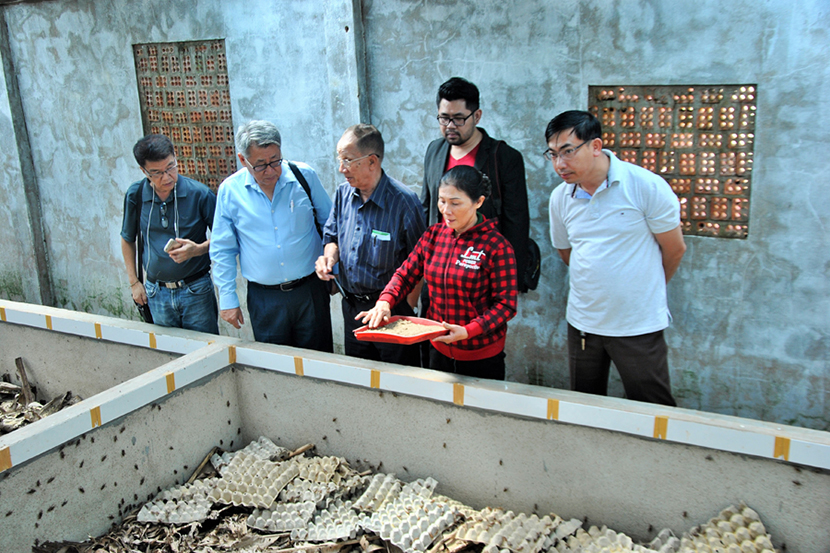 tour tham quan trang trại dế Đà Lạt
