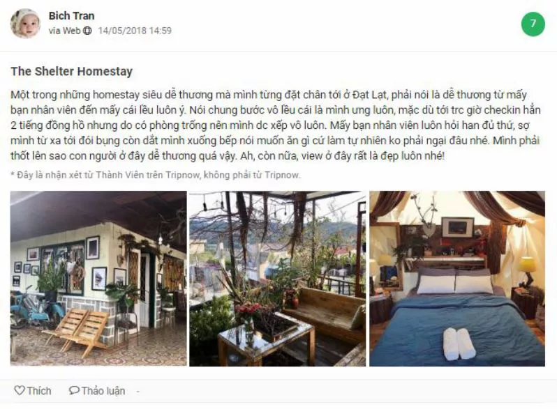 Những đánh giá tốt dành cho The Shelter Đà Lạt