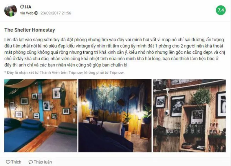 Những đánh giá tốt dành cho The Shelter Đà lạt