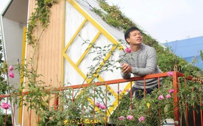 Hit-tho-khong-khi-tai-Legume-homestay Hít thở không khí trong lành tại Legume homestay ở Đà Lạt