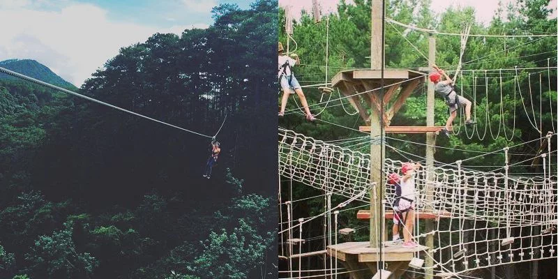 Datanla High Rope Course - kẻ sợ độ cao Datanla High Rope Course - Nơi không dành cho kẻ sợ độ cao ở Đà Lạt