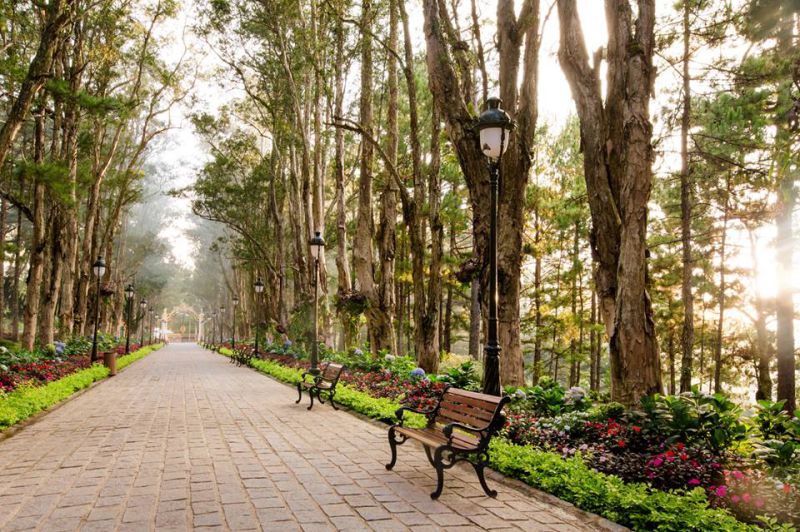 Đường vào Dinh 1 Bảo Đại, Đà Lạt - tour zoodoo Đà Lạt Đường vào Dinh 1 Bảo Đại, Đà Lạt - tour zoodoo Đà Lạt