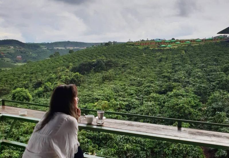 Cafe Mê Linh Đà Lạt Ngắm thỏa thích không gian bao la ở Mê Linh Cafe Garden Tp. Đà lạt