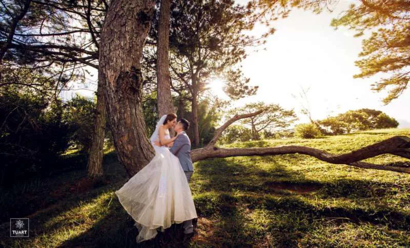 Chụp ảnh cưới Đà Lạt - tại đồi thông giữa sớm mai Chụp ảnh cưới Đà Lạt - tại đồi thông