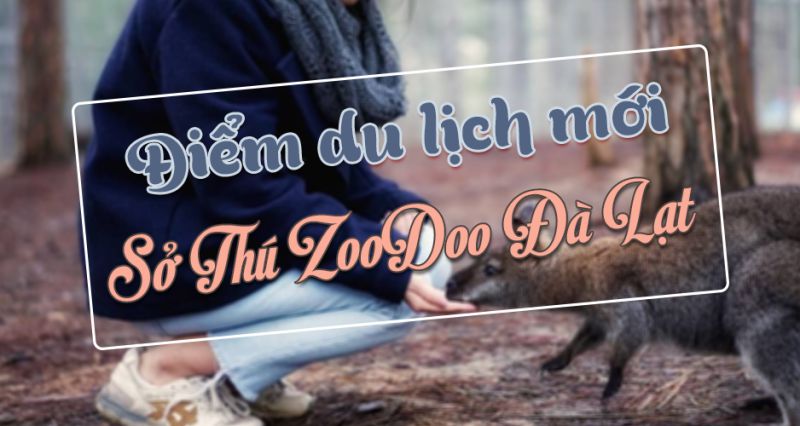 Vườn thú Zoodoo - tour zoodoo đà lạt Vườn thú Zoodoo - tour zoodoo đà lạt