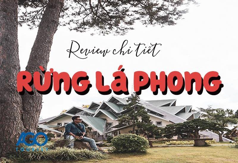 Review chi tiết hành trình khám phá khu du lịch rừng Lá Phong Đà Lạt
