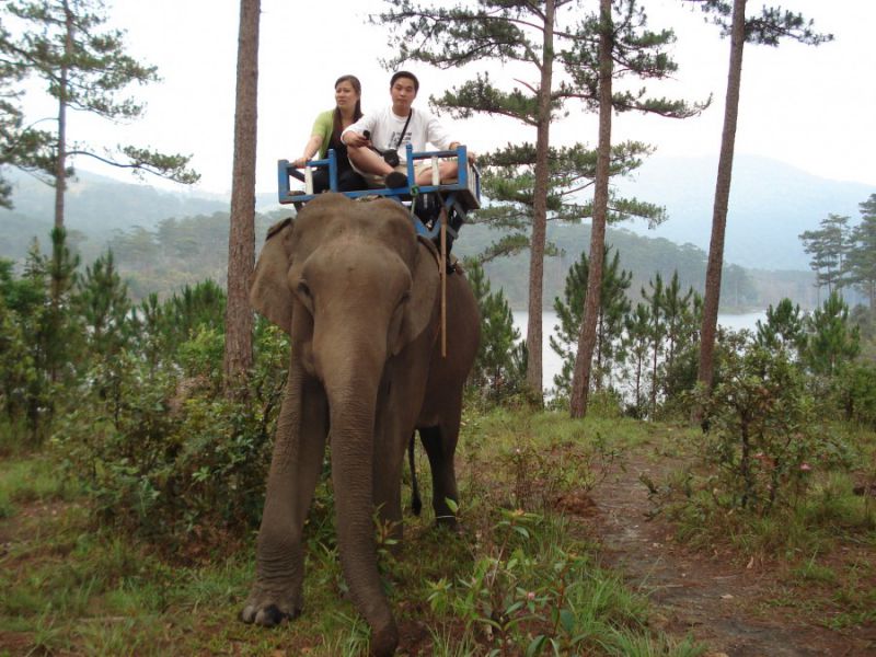 Riding elephants at Prenn resort - pongour waterfall tour