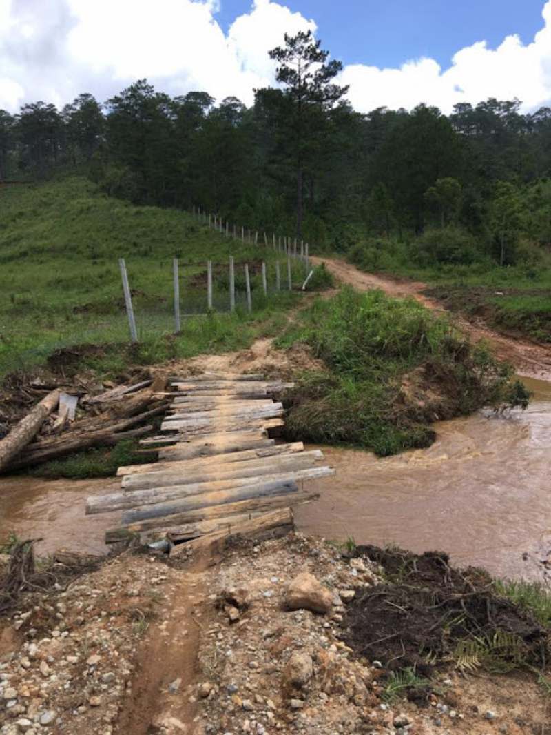 Đường đi tuyệt tình cốc Đà Lạt Cây cầu gỗ đơn sơ bắc qua dòng suối trên đường đi tuyệt tình cốc