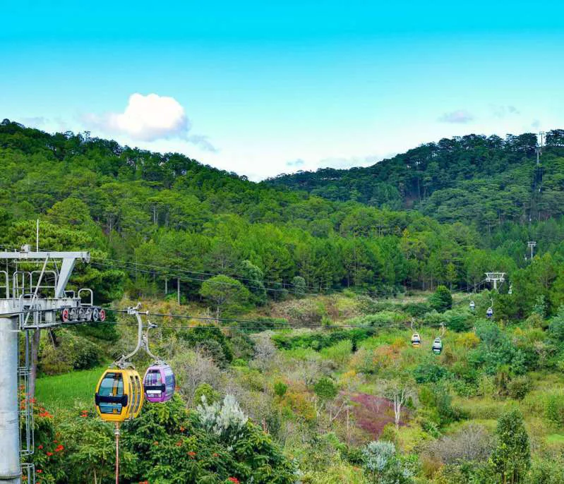 giá vé cáp treo Đà Lạt Đi cáp treo ở Đà Lạt và view ngắm nhìn rừng thông xanh