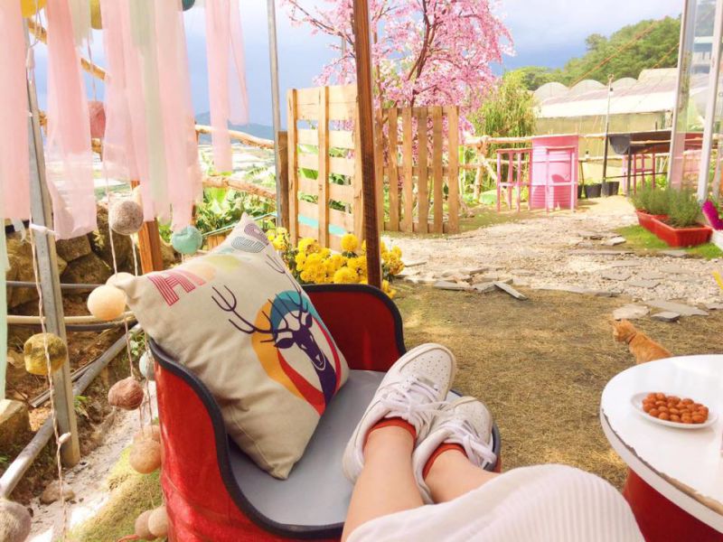 một góc hình ảnh quán cafe Sunny Farm