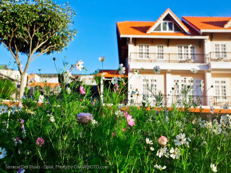Khách sạn đà lạt 4 sao Terrasse Des Roses Khách sạn đà lạt 4 sao Terrasse Des Roses