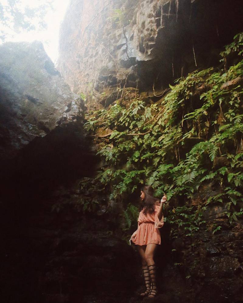 Hang dơi Thác Voi