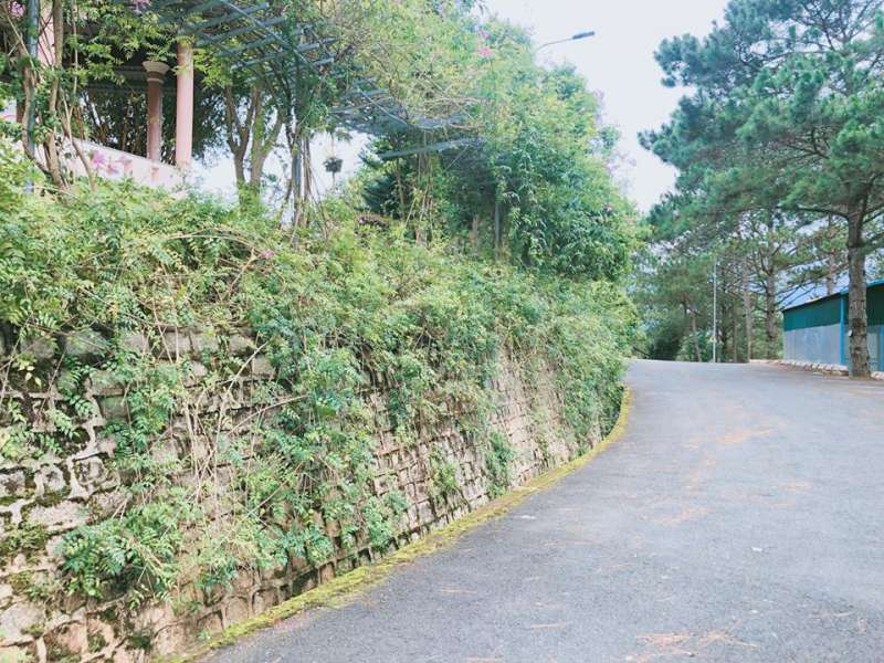 Hình ảnh khu nghỉ dưỡng Minh Tâm ở Đà Lạt