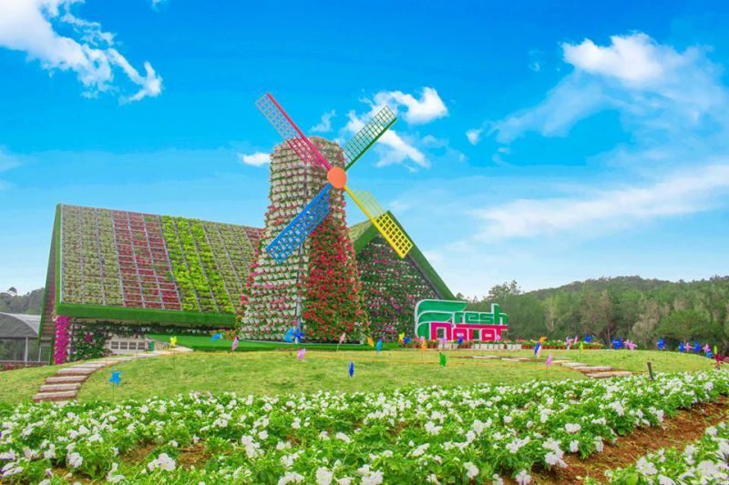 Fresh Garden Đà Lat địa điểm du lịch miễn phí