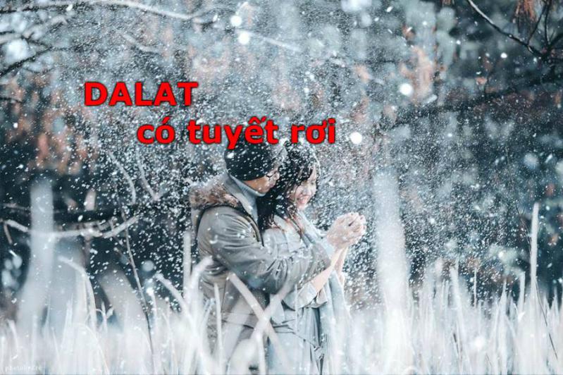 Lừa đảo ở Đà Lạt có tuyết rơi