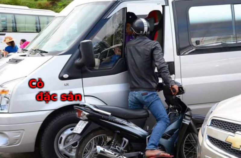 Lừa đảo ở Đà Lạt - Cò đặc sản Lừa đảo ở Đà Lạt - Cò đặc sản giá rẻ