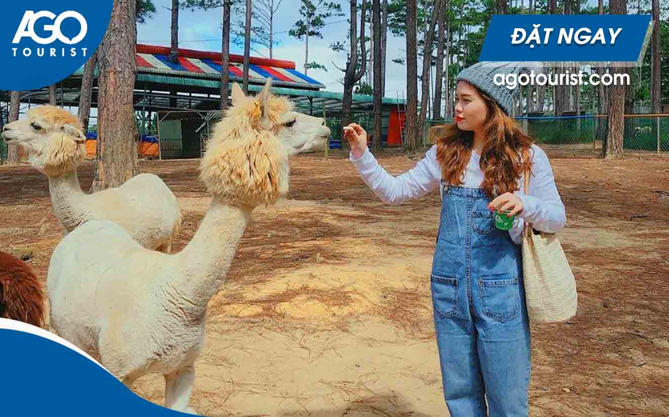 Tour sở thú Zoodoo 1 ngày