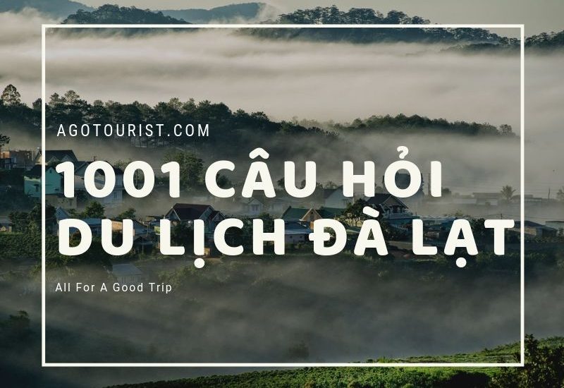 Giải đáp chi tiết 1001 câu hỏi về du lịch Đà Lạt 2020
