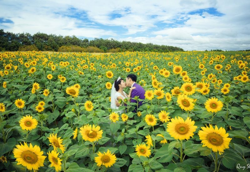 Ảnh cưới Đà Lạt