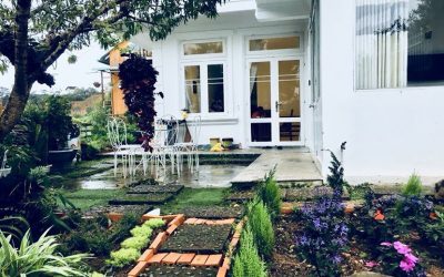 Villa Bali Đà Lạt