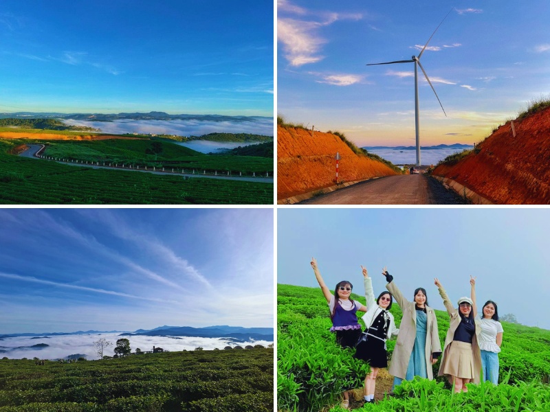 Tour săn mây Cầu Đất Đà Lạt