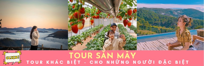 Chương trình tour săn mây Đà Lạt