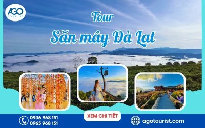 tour săn mây Đà Lạt