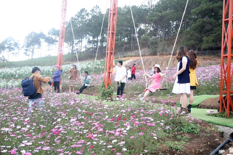 vườn hao vạn thành những bạn trẻ chụp hình với những cánh hoa đầy màu sắc ở vườn hoa vạn thành