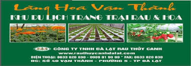 thông tin làng hoa Vạn Thành bảng thông tin chi tiết làng hoa Vạn Thành Đà Lạt