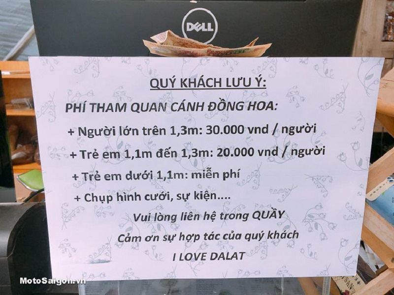 F cánh đồng hoa chi tiết bảng giá vé tham quan F cánh đồng hoa
