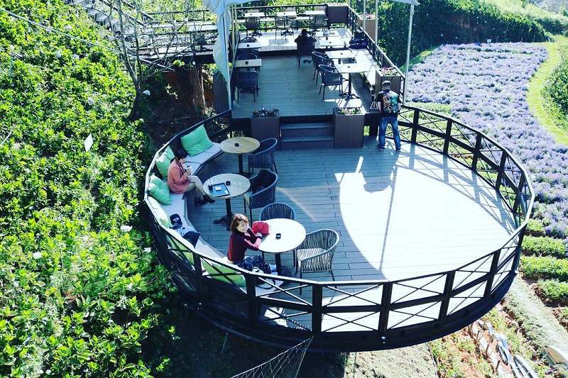 Cafe F cánh đồng hoa quán cafe f cánh đồng hoa với những trang trí, thiết kế độc đáo