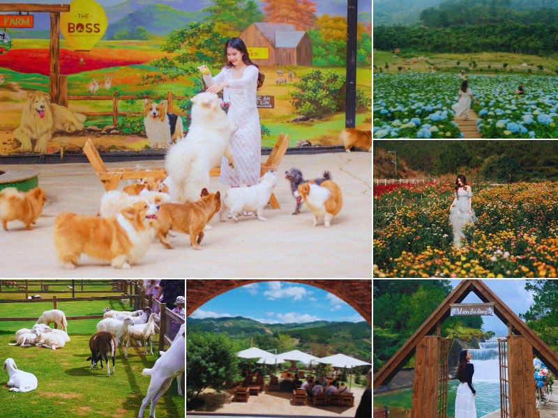 Tour Puppy Farm Đà Lạt