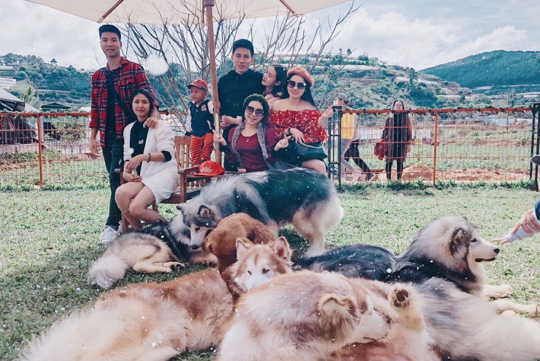 Tour 1 ngày đi trang trại cún Đà Lạt