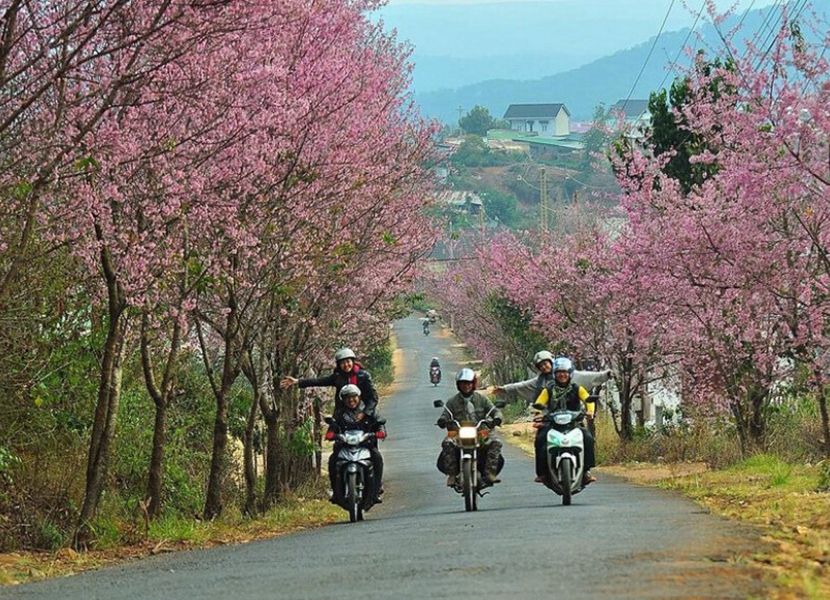 motorbike in Dalat