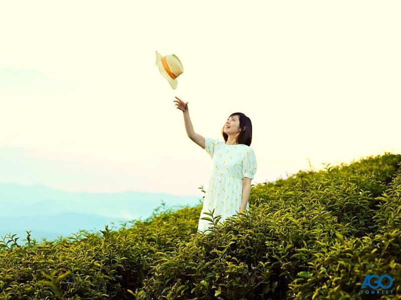giá vé tham quan đồi chè Cầu Đất