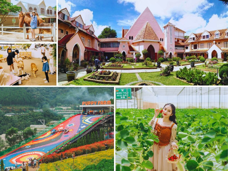 tour Biên Hòa Đà Lạt 3 ngày 2 đêm