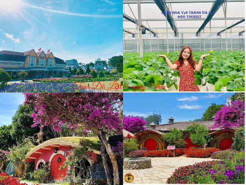 tour đi Đà Lạt 4 ngày 3 đêm