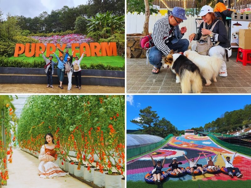 tour du lịch Biên Hòa Đà Lạt
