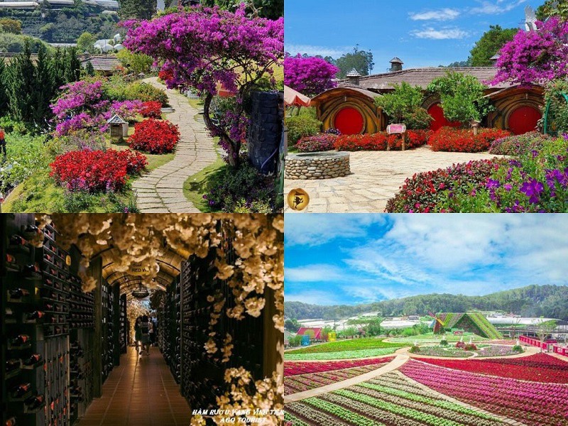 Tour du lịch Huế Đà Lạt 3 ngày 2 đêm