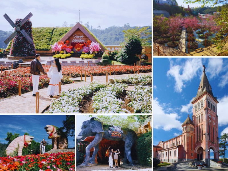 tour Vũng Tàu đi Đà Lạt 3 ngày 2 đêm