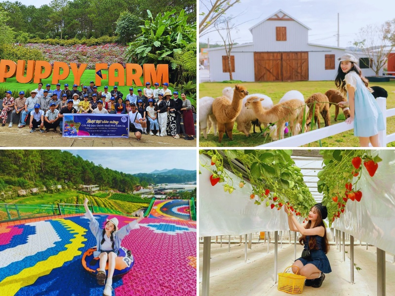 tour khởi hành từ Huế đi Đà Lạt