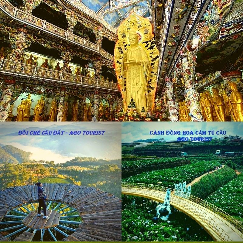 tour Quy Nhơn Đà Lạt Tour Quy Nhơn Đà Lạt