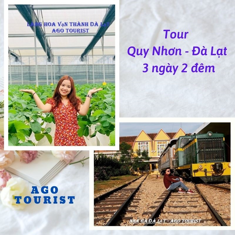 Tour Quy Nhơn Đà Lạt 3 ngày 2 đêm