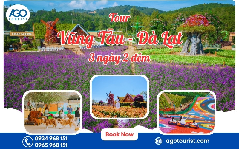 Tour Vũng Tàu Đà Lạt 3 ngày 2 đêm [Dịch vụ trọn gói]