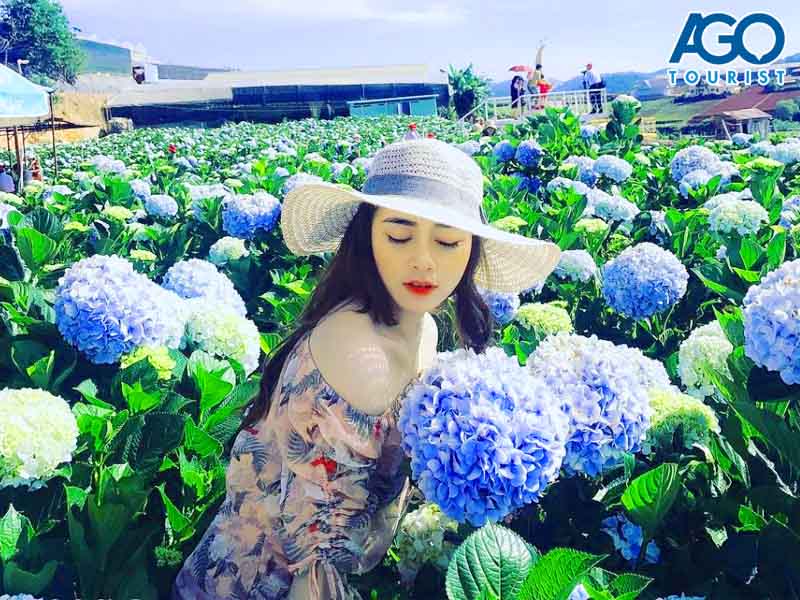 tour du lịch Hà Nội Đà Lạt 4 ngày 3 đêm