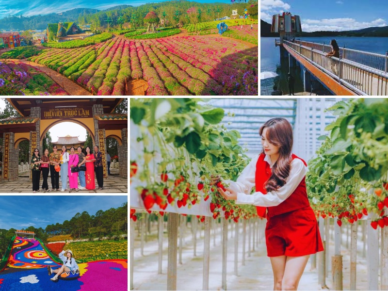 Tour Quảng Trị Đà Lạt 3 ngày 2 đêm trọn gói
