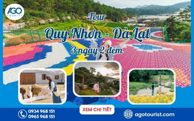 tour Quy Nhơn Đà Lạt 3 ngày 2 đêm