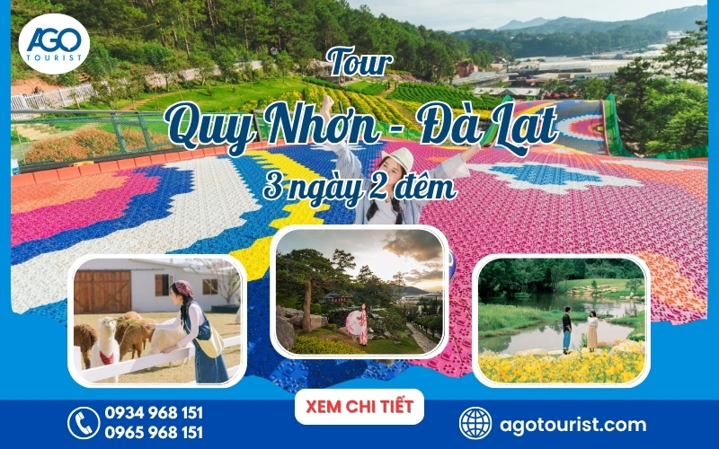 Tour Quy Nhơn Đà Lạt 3 ngày 2 đêm [Khởi hành hằng ngày]