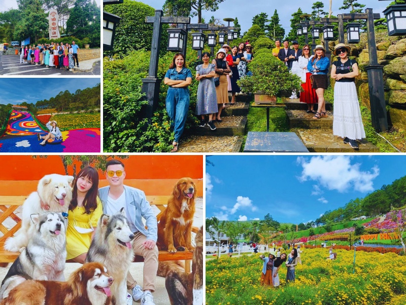 tour Quy Nhơn Đà Lạt 3 ngày 2 đêm