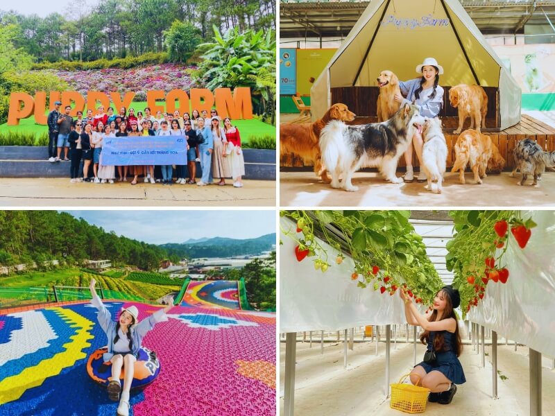 tour Đà Lạt 2 ngày 1 đêm từ Nha Trang